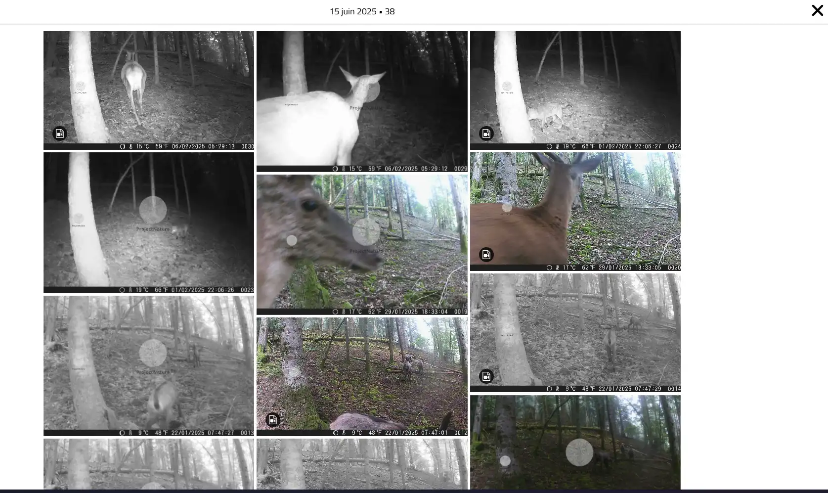 Image du projet